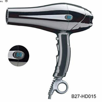 Professional Hair Dryers